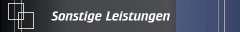Sonstige Leistungen